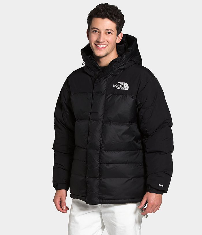 The North Face Winterjas Heren Hmlyn Parka GFRY24037 - Zwart